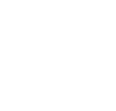Karbon-X logo