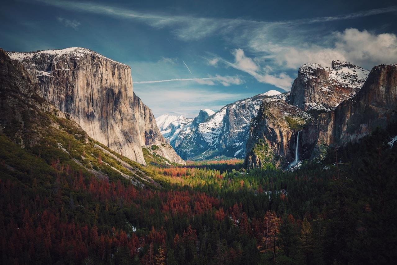 How does Karbon-X help businesses reduce their environmental impact?