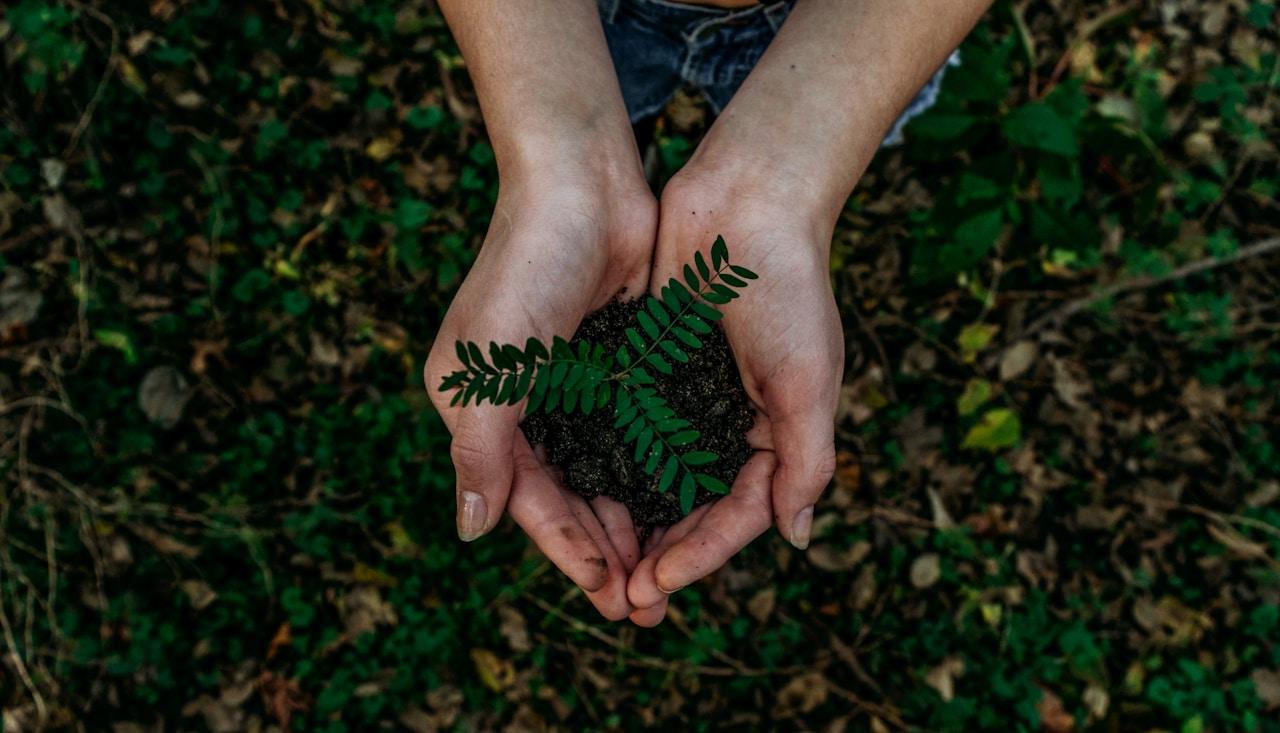 What if I don't know my carbon footprint?