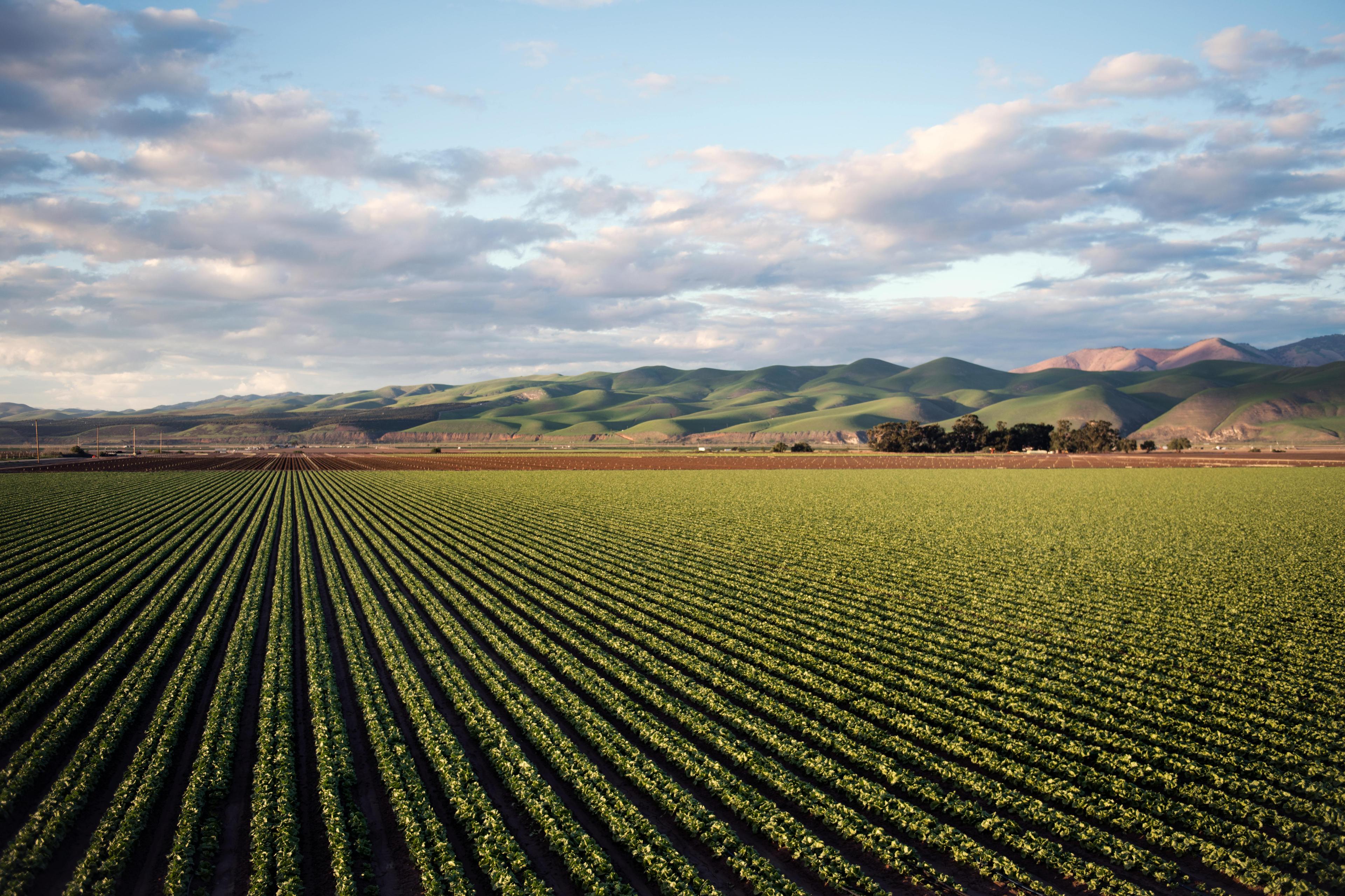 What SBTi Means for Food & Beverage—And How to Meet Scope 3 Targets