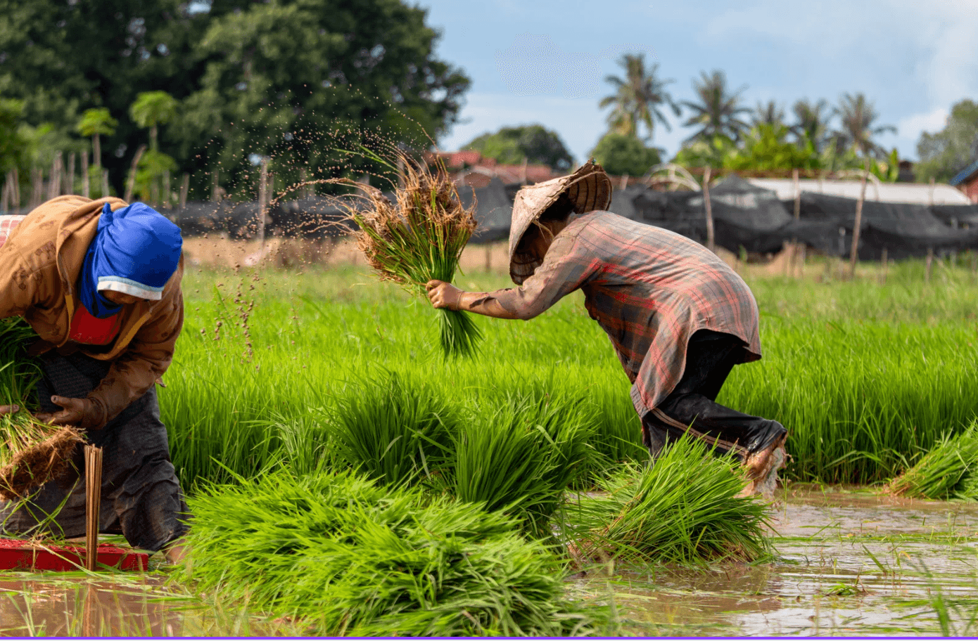 A Practical Guide To Reducing Emissions In Your Food Supply Chain