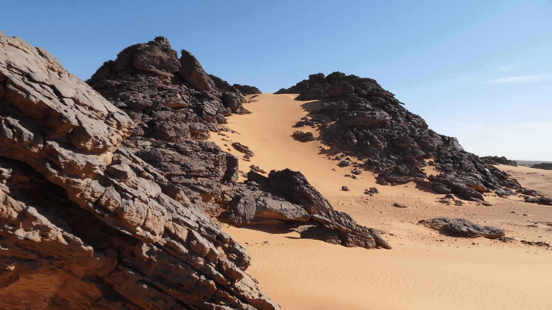 Karbon-X Secures Technical Advisory Engagement for Nature-Based Carbon Project in Libya 
