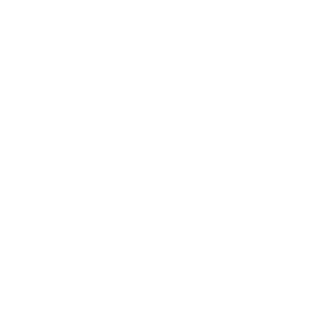 Karbon-X logo