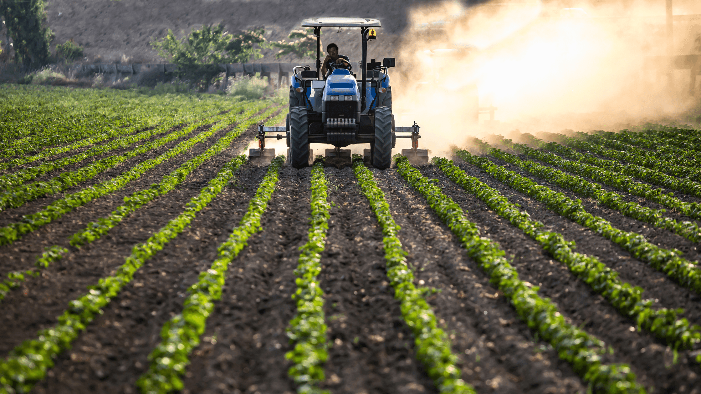 Three Proven Ways to Lower Emissions in Food Manufacturing and Logistics